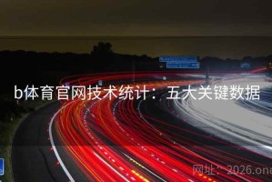 b体育官网技术统计：五大关键数据