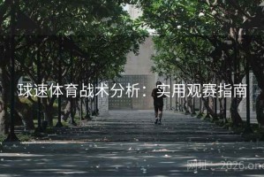 球速体育战术分析：实用观赛指南