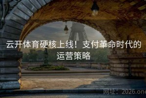 云开体育硬核上线！支付革命时代的运营策略