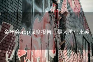 金年会app深度报告：最大黑马来袭