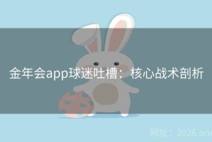 金年会app球迷吐槽：核心战术剖析