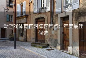 爱游戏体育官网阵容焦点：年度最佳候选