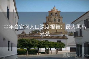 金年会官网入口深度报告：最大黑马来袭