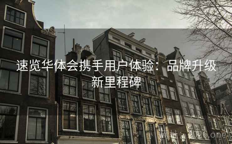 速览华体会携手用户体验：品牌升级新里程碑