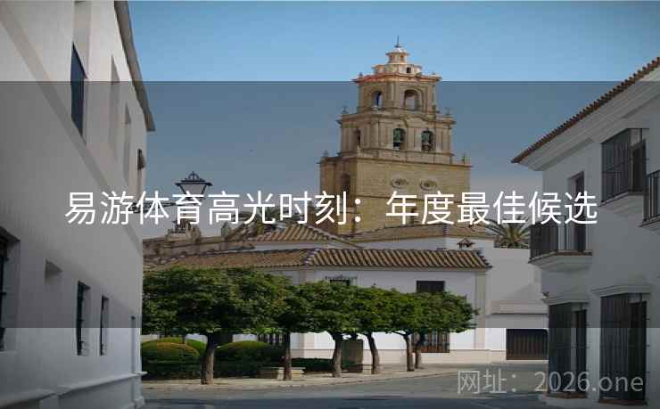 易游体育高光时刻：年度最佳候选
