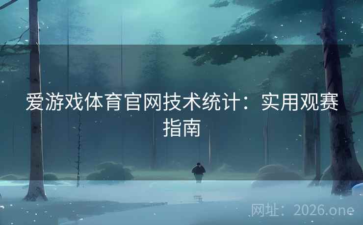 爱游戏体育官网技术统计：实用观赛指南