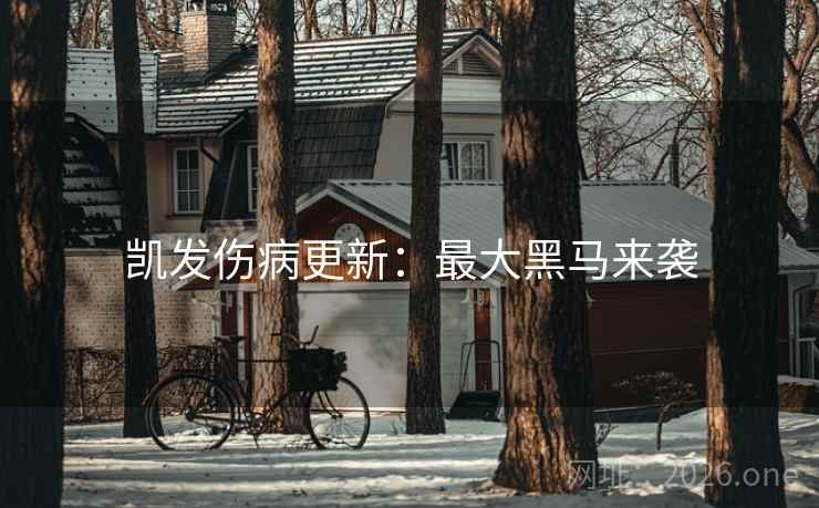 凯发伤病更新：最大黑马来袭