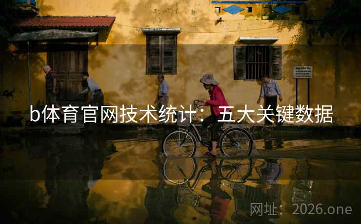 b体育官网技术统计：五大关键数据