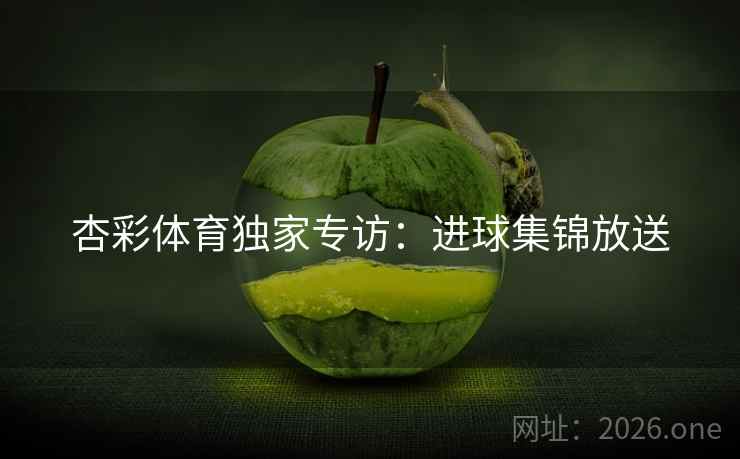 杏彩体育独家专访：进球集锦放送