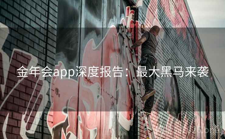 金年会app深度报告：最大黑马来袭