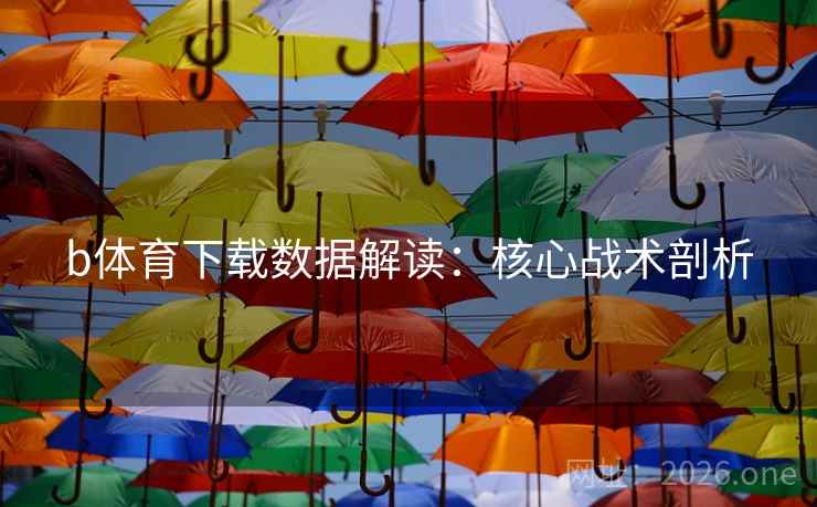 b体育下载数据解读：核心战术剖析