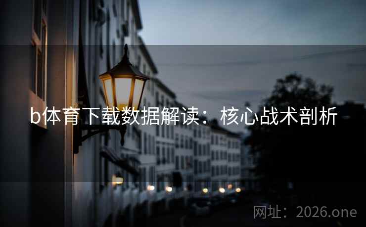 b体育下载数据解读：核心战术剖析