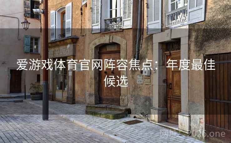 爱游戏体育官网阵容焦点：年度最佳候选