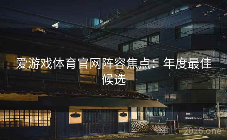 爱游戏体育官网阵容焦点：年度最佳候选