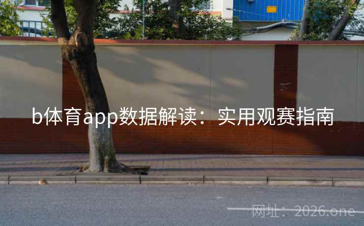 b体育app数据解读：实用观赛指南